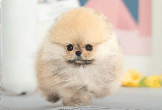 765b106987eaaefd098c72c9b4dc8046_1766555136_7196.gif 765b106987eaaefd098c72c9b4dc8046_1766555136_7196.gif