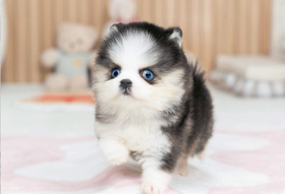 765b106987eaaefd098c72c9b4dc8046_1766555185.gif 765b106987eaaefd098c72c9b4dc8046_1766555185.gif